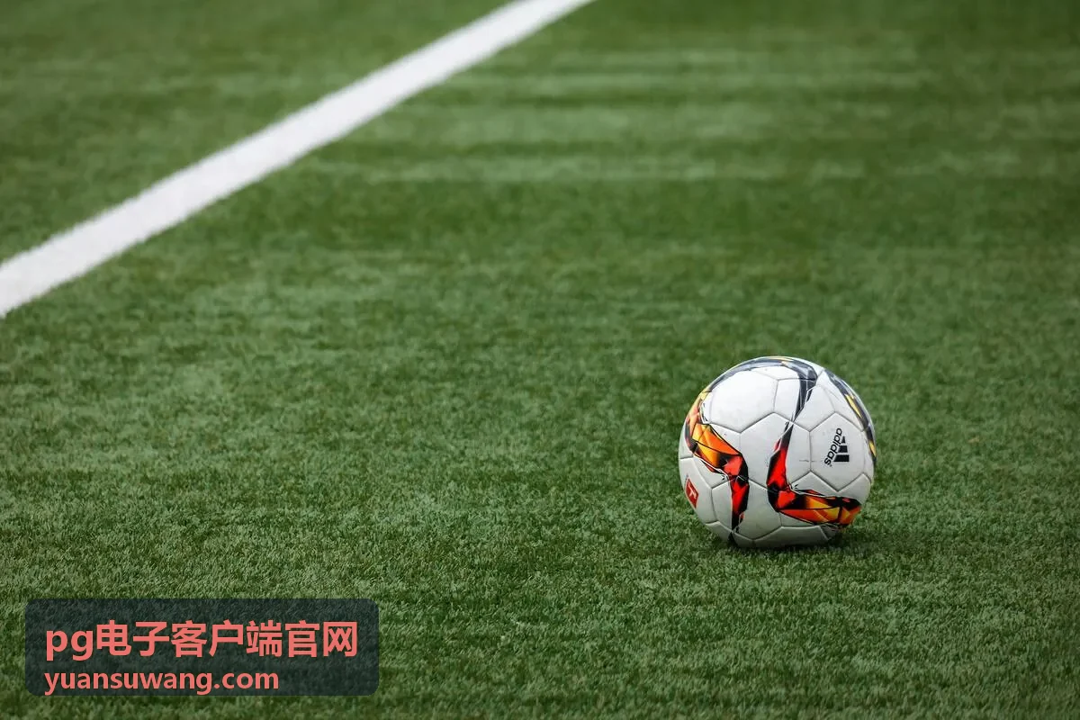 pg电子客户端官网账号安全设置内容封面