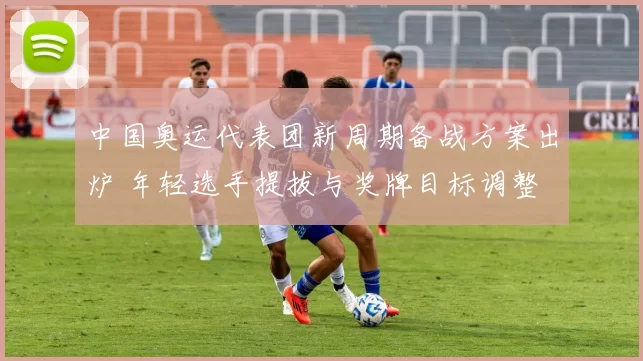 中国奥运代表团新周期备战方案出炉 年轻选手提拔与奖牌目标调整