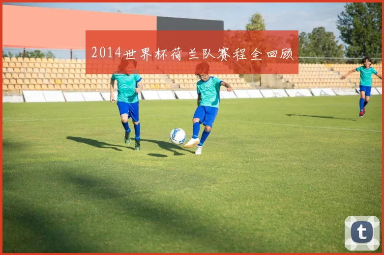2014世界杯荷兰队赛程全回顾