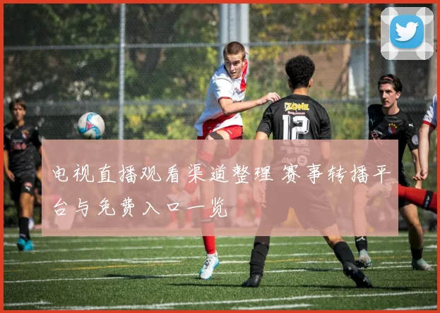 电视直播观看渠道整理 赛事转播平台与免费入口一览